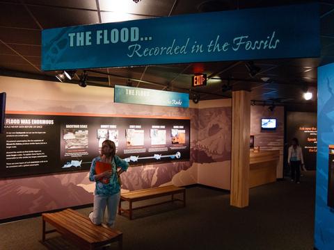 Exhibit: The Flood recorded in the fossils