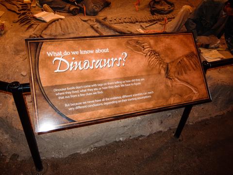 Sign: What do we know about dinosaurs?