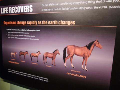 Sign: Ark Equids change into horses