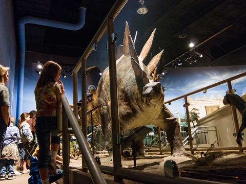 Dinosaur exhibit