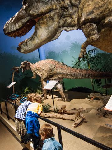 Dinosaur exhibit