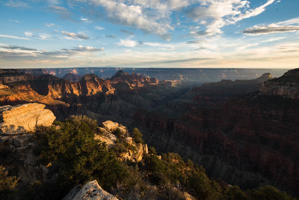 View of the Grand Canyon from the North Rim